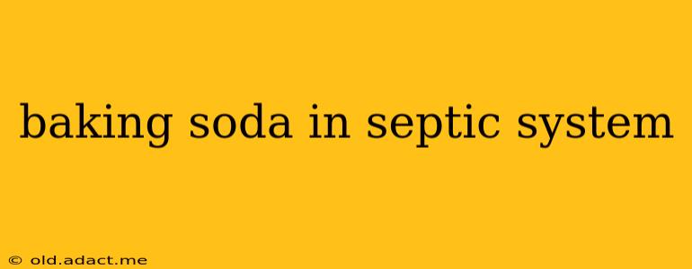 baking soda in septic system