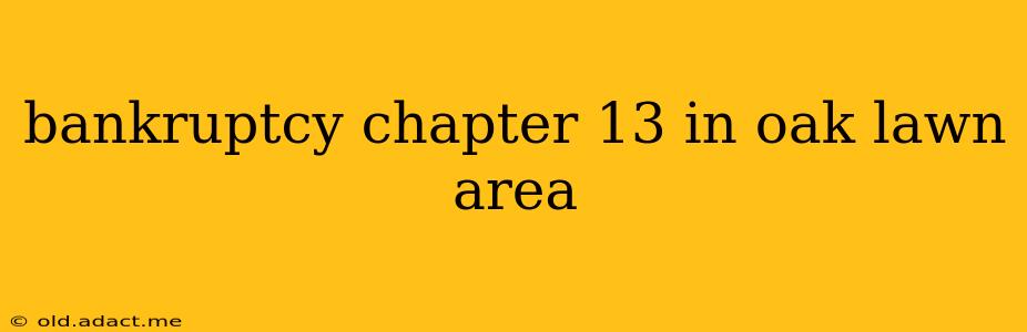 bankruptcy chapter 13 in oak lawn area