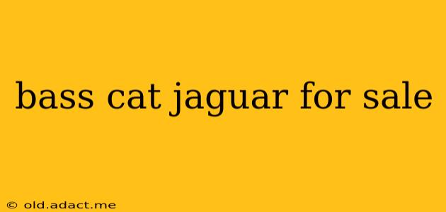 bass cat jaguar for sale
