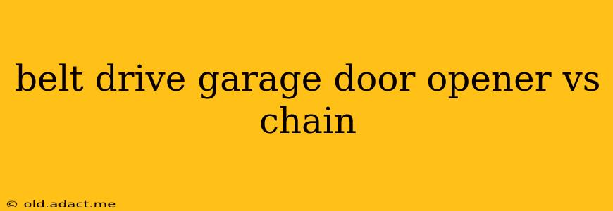 belt drive garage door opener vs chain