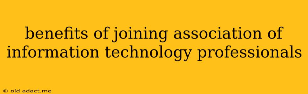benefits of joining association of information technology professionals