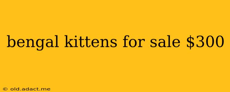 bengal kittens for sale $300