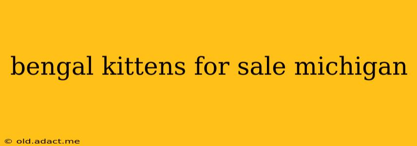 bengal kittens for sale michigan
