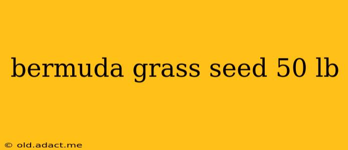 bermuda grass seed 50 lb