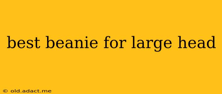 best beanie for large head