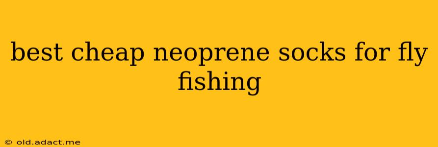 best cheap neoprene socks for fly fishing