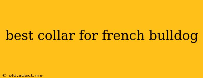 best collar for french bulldog