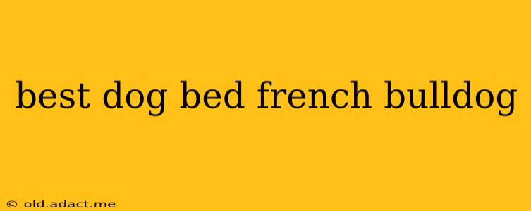 best dog bed french bulldog