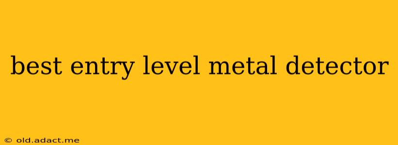 best entry level metal detector