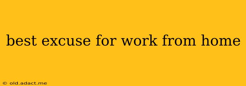 best excuse for work from home