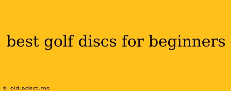 best golf discs for beginners