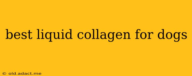 best liquid collagen for dogs