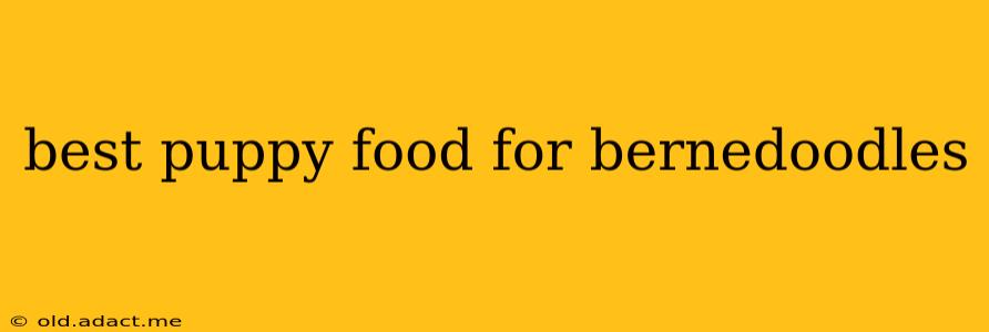 best puppy food for bernedoodles