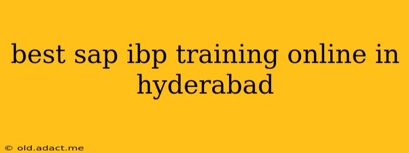 best sap ibp training online in hyderabad