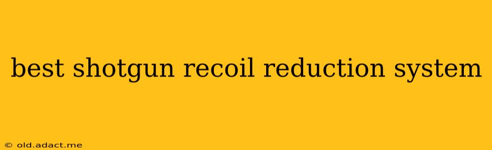 best shotgun recoil reduction system