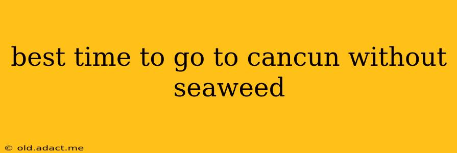 best time to go to cancun without seaweed