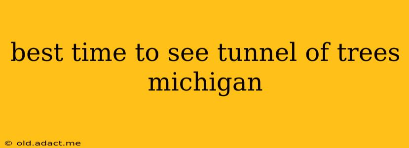 best time to see tunnel of trees michigan