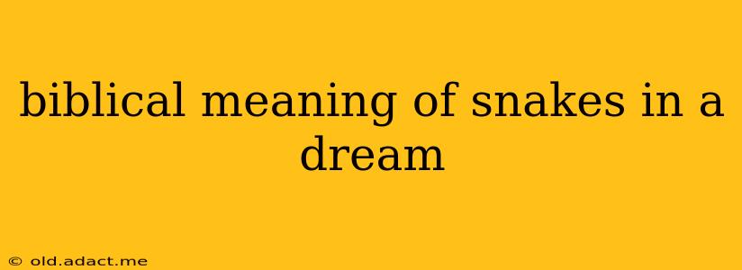 biblical meaning of snakes in a dream