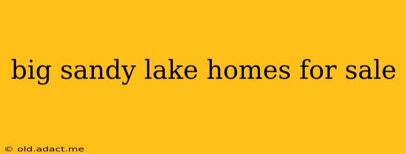 big sandy lake homes for sale