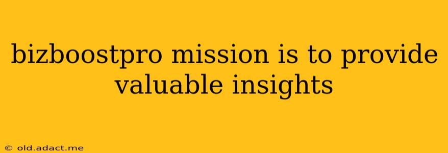 bizboostpro mission is to provide valuable insights