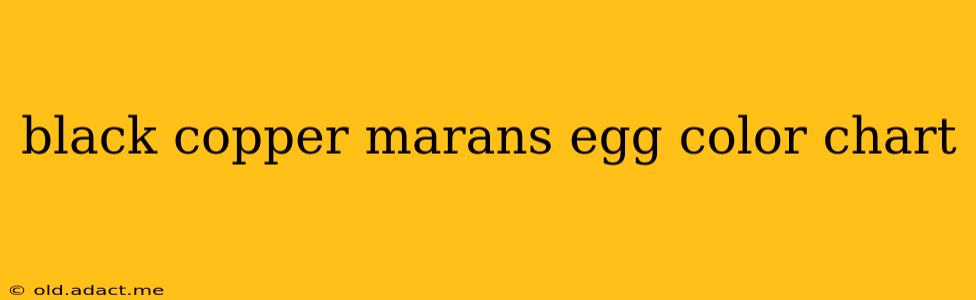 black copper marans egg color chart