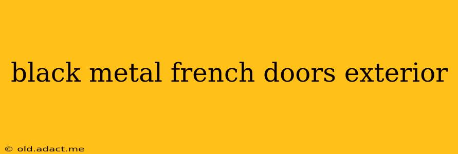 black metal french doors exterior
