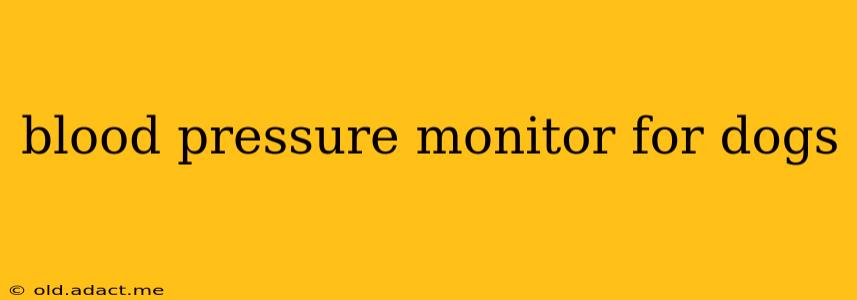 blood pressure monitor for dogs