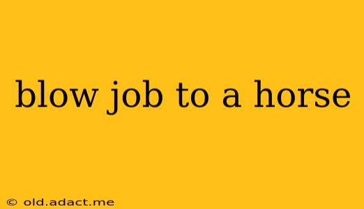 blow job to a horse