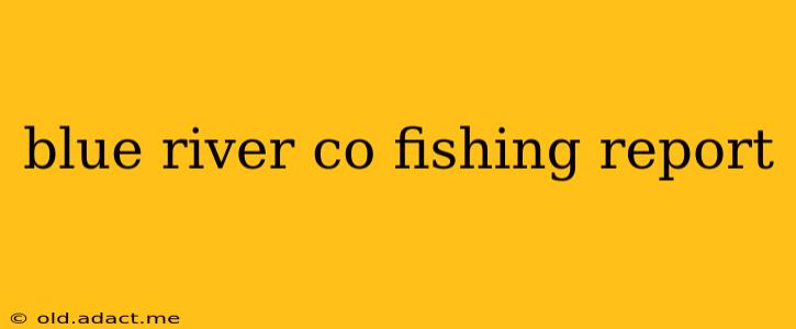 blue river co fishing report