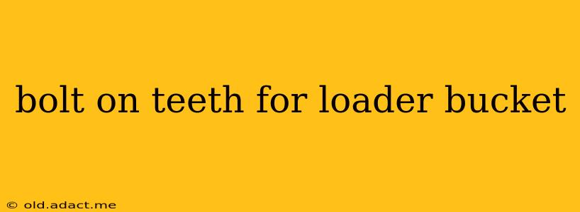 bolt on teeth for loader bucket