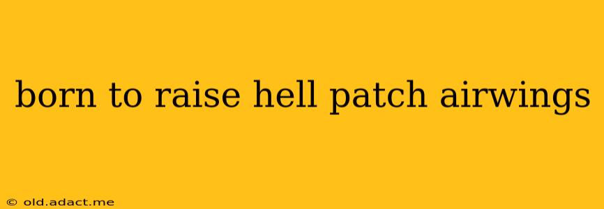 born to raise hell patch airwings