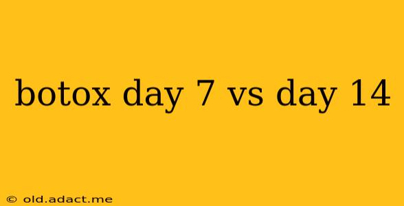 botox day 7 vs day 14