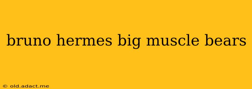 bruno hermes big muscle bears bruno hermes big muscle bears
