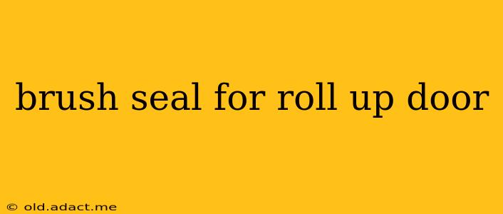 brush seal for roll up door