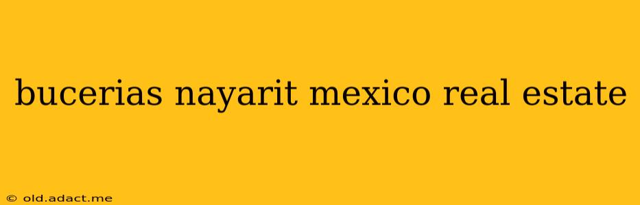 bucerias nayarit mexico real estate