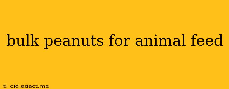 bulk peanuts for animal feed