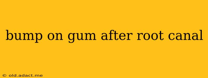 bump on gum after root canal