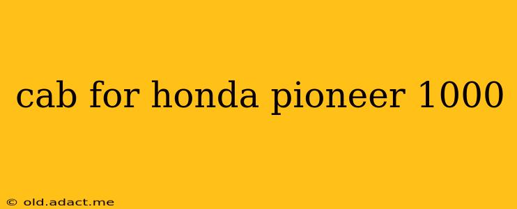 cab for honda pioneer 1000