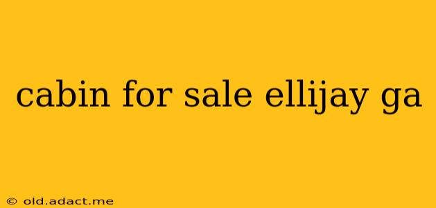 cabin for sale ellijay ga