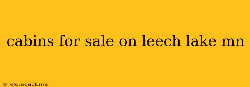 cabins for sale on leech lake mn