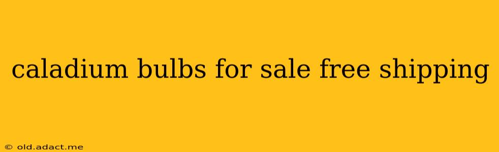 caladium bulbs for sale free shipping