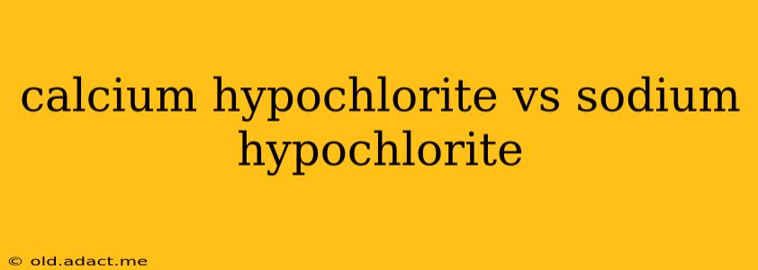 calcium hypochlorite vs sodium hypochlorite