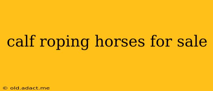 calf roping horses for sale