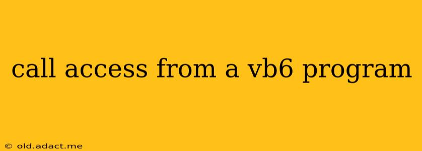 call access from a vb6 program