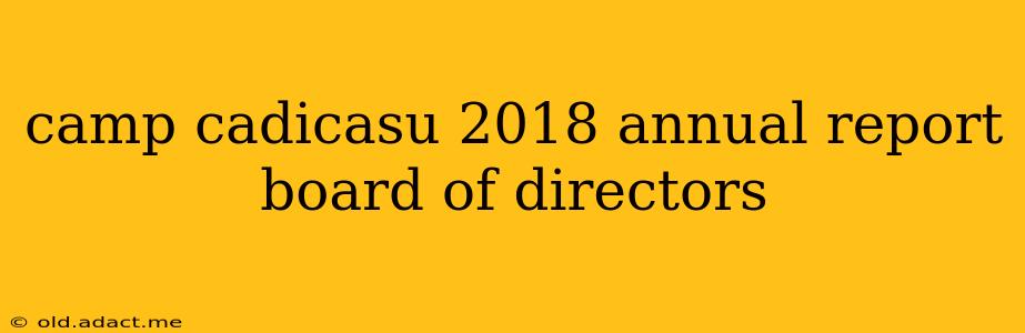 camp cadicasu 2018 annual report board of directors