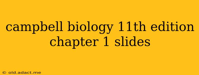 campbell biology 11th edition chapter 1 slides