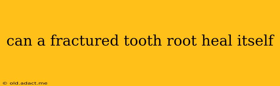 can a fractured tooth root heal itself