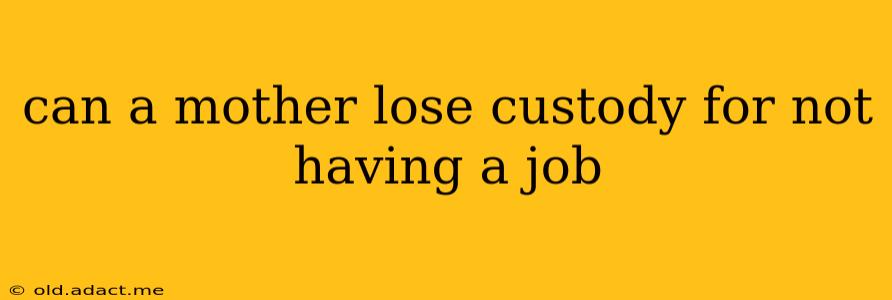 can a mother lose custody for not having a job