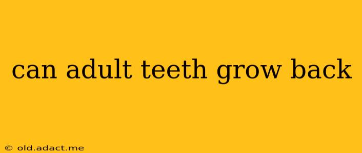 can adult teeth grow back