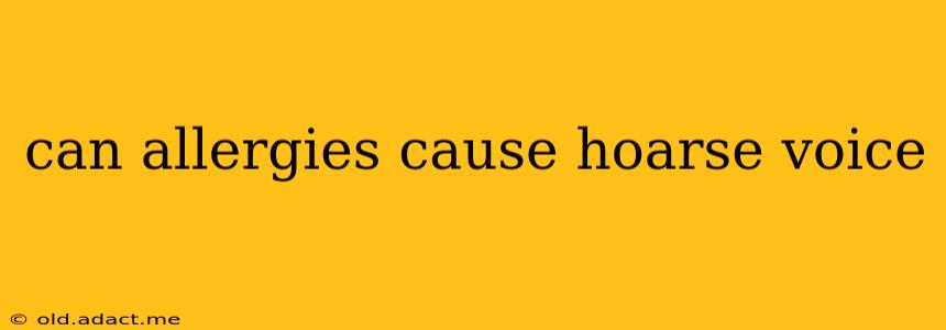 can allergies cause hoarse voice